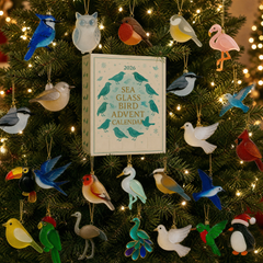 š¦Bird Advent Calendar 2026