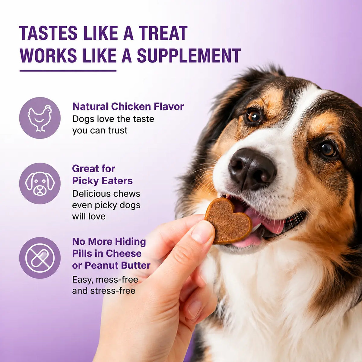 Probiotics for Dogs – 180 Soft Chews with Prebiotics & Chicken Flavor
