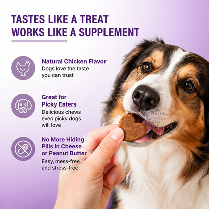Probiotics for Dogs – 180 Soft Chews with Prebiotics & Chicken Flavor
