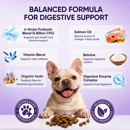180ct Dog & Cat Probiotic Prebiotic Soft Chews - Chicken