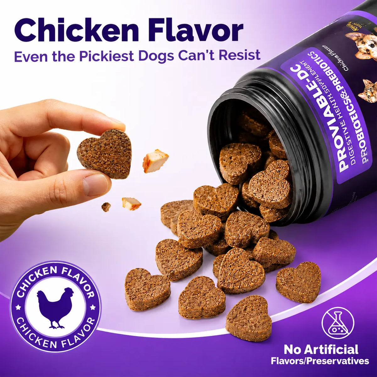 180ct Dog & Cat Probiotic Prebiotic Soft Chews - Chicken