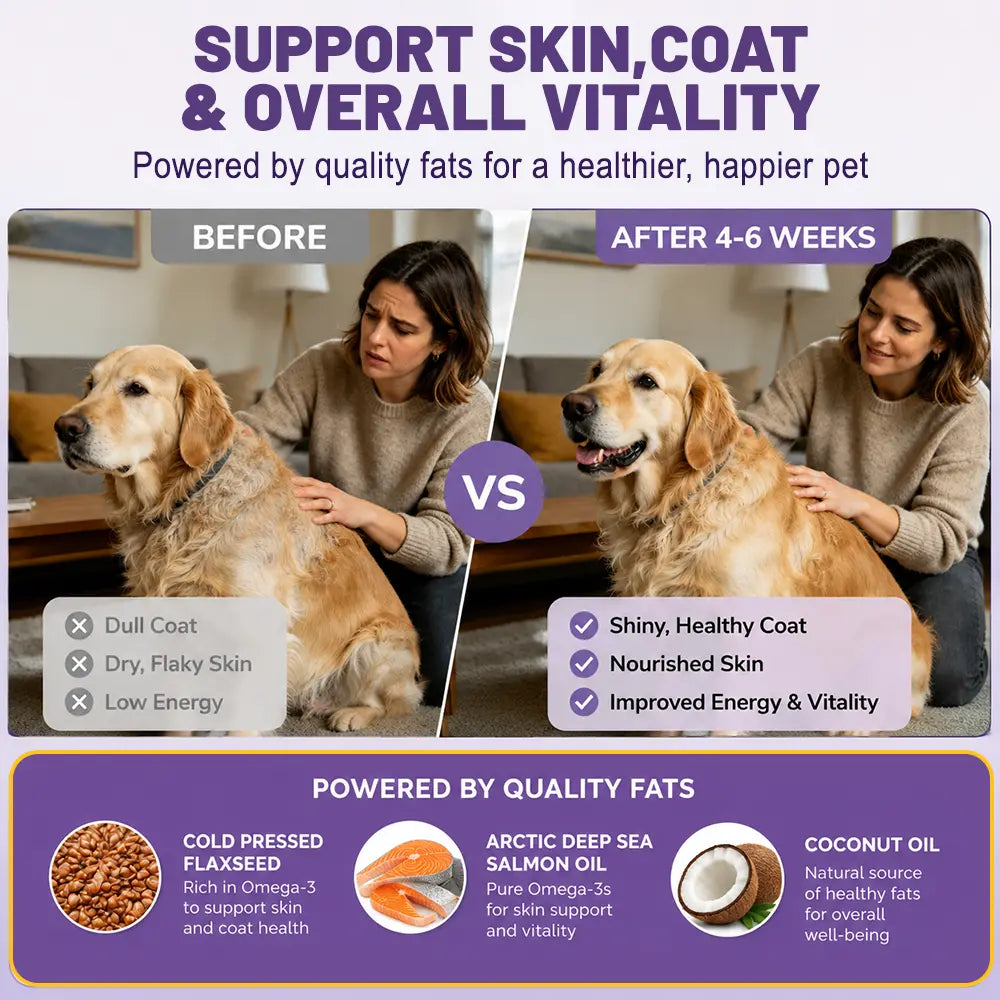 180ct Skin & Coat Salmon Oil Soft Chews for Dogs & Cats - Omega3, Biotin, Zinc & Vitamin E - Supports Healthy Skin, Shiny Coat, Itch Relief & Allergy Support Natural Chicken Flavor Chews
