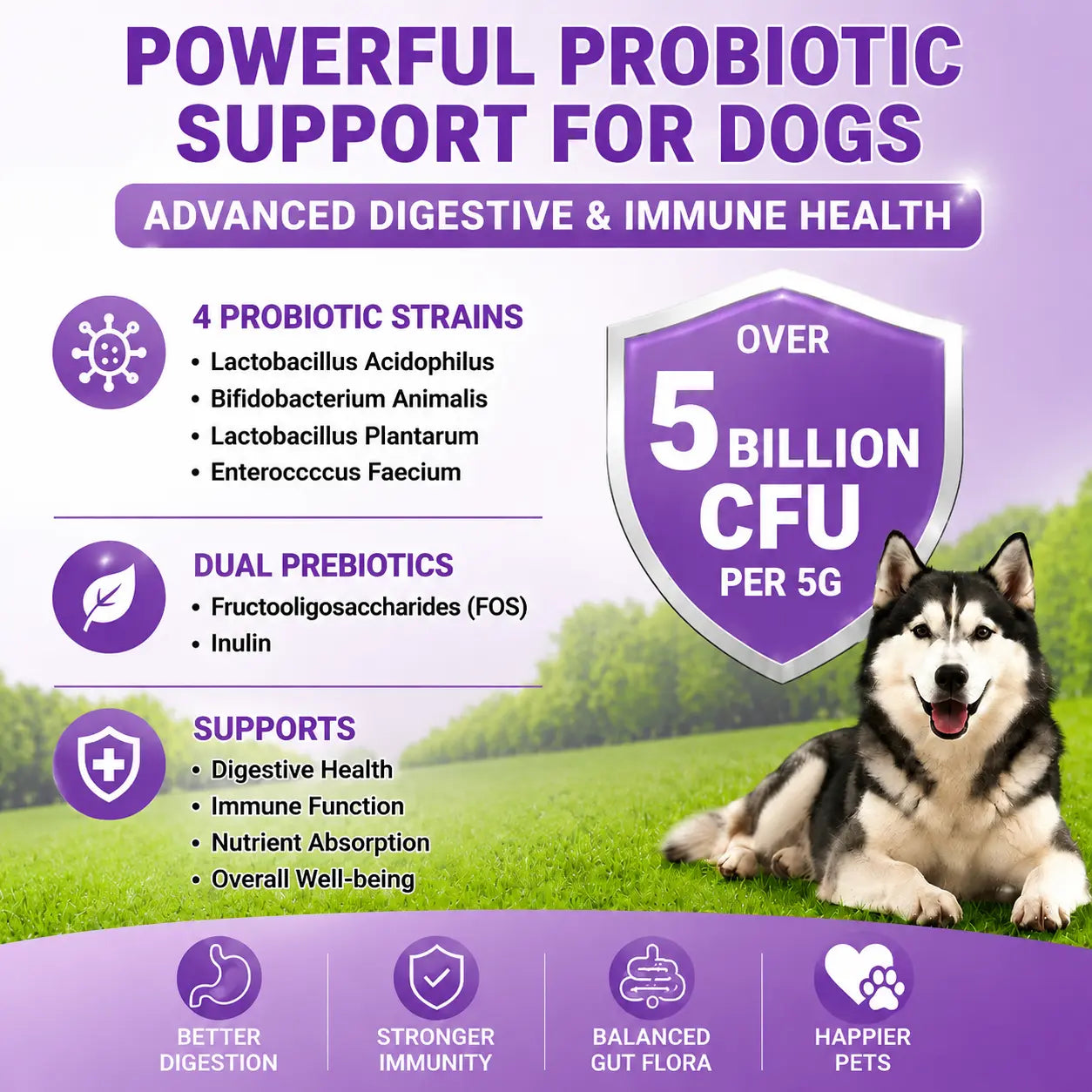 Probiotics for Dogs – 180 Soft Chews with Prebiotics & Chicken Flavor