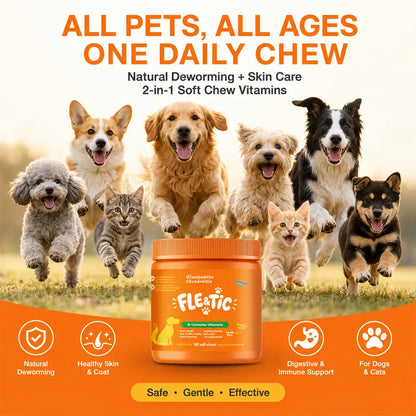 180ct Dog & Cat Skin & Coat Soft Chews