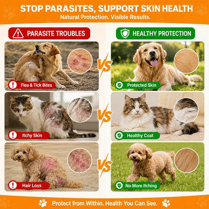 180ct Dog & Cat Skin & Coat Soft Chews
