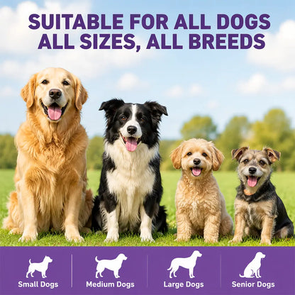 180ct Skin & Coat Salmon Oil Soft Chews for Dogs & Cats - Omega3, Biotin, Zinc & Vitamin E - Supports Healthy Skin, Shiny Coat, Itch Relief & Allergy Support Natural Chicken Flavor Chews