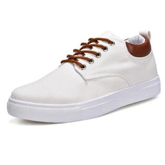 Jaxon Canvas Shoes